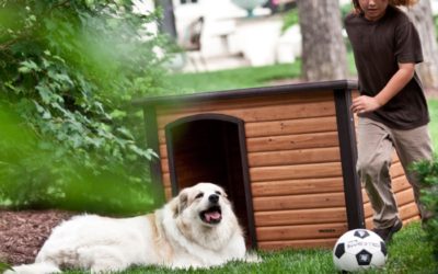 Precision Pet Extreme Outback Log Cabin Dog House Review