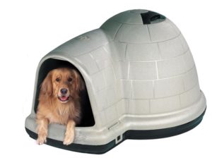 dog door for igloo dog house