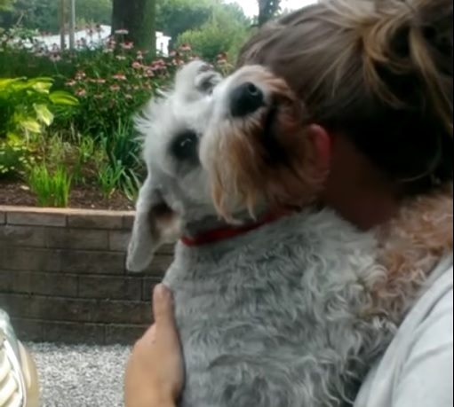 Reunited Dog Faints From Overwhelming Joy