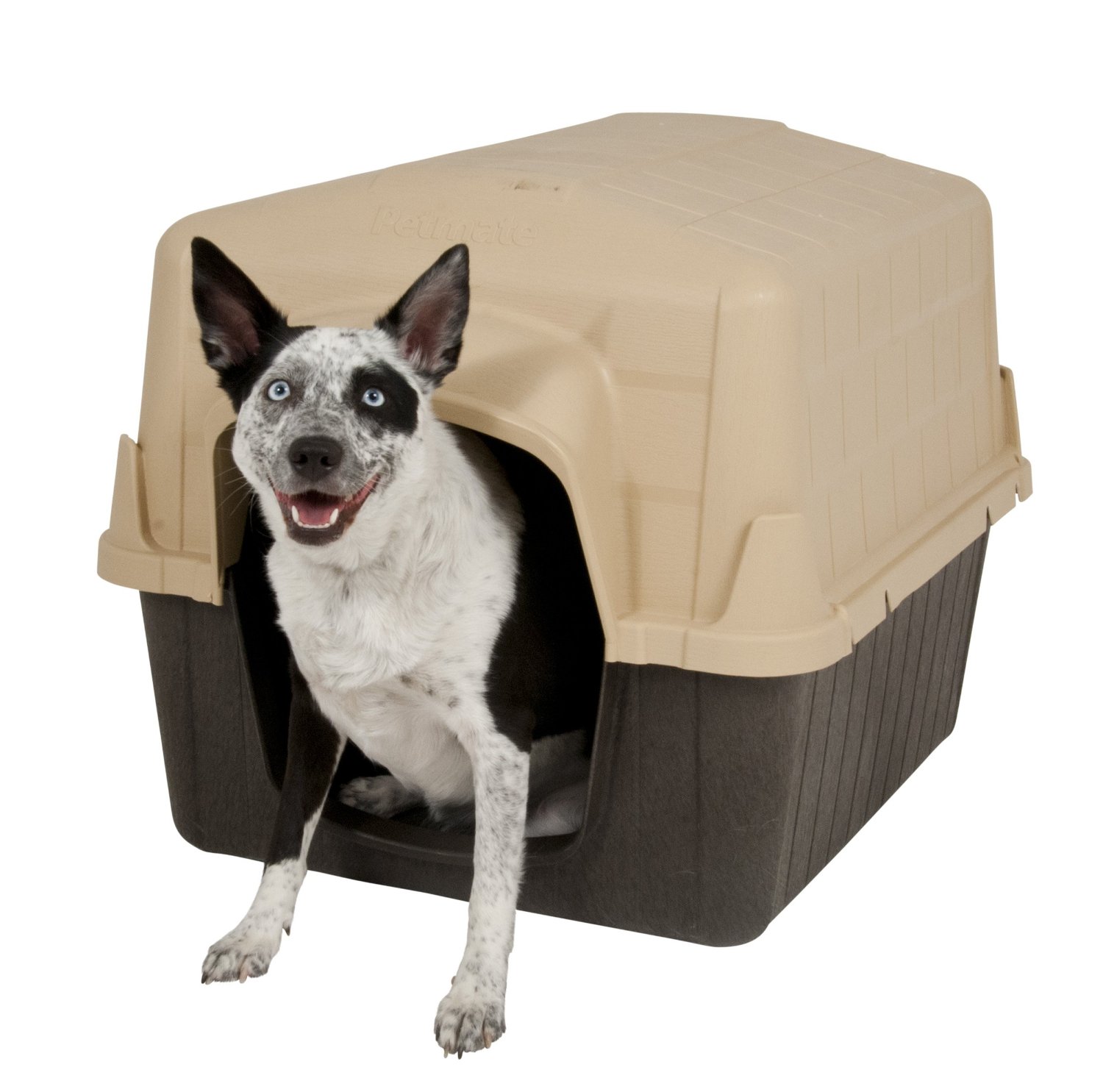 Petmate Barnhome III Pet Shelters Dog House Review Doggy Savvy