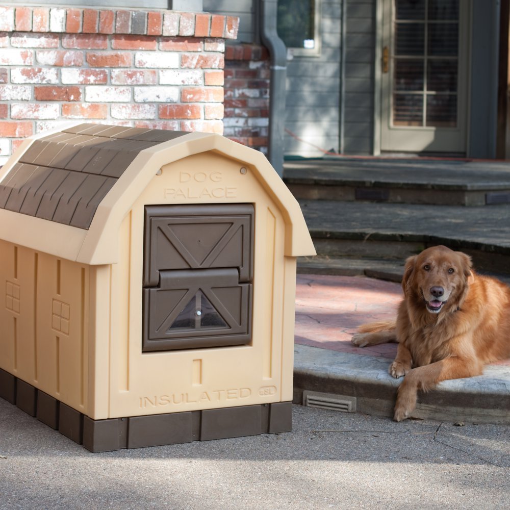 ASL Solutions Dog Palace Insulated Dog House Review Doggy Savvy